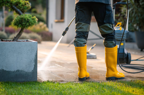Best Pressure Washing Contractors  in Phoenix, NY